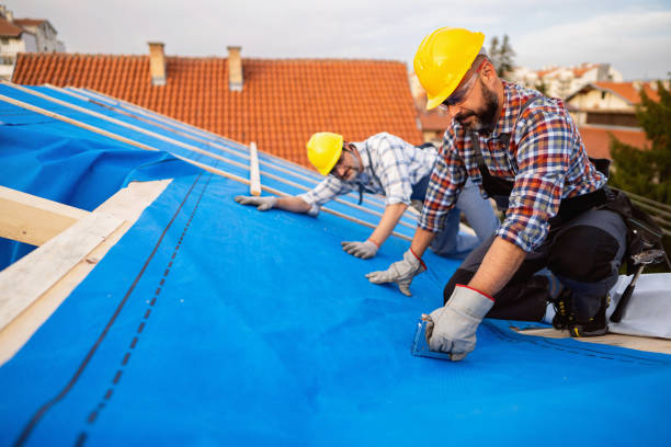 Best Roof Insulation Installation  in Burney, CA