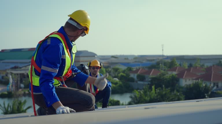 Best Roof Moss and Algae Removal  in Burney, CA