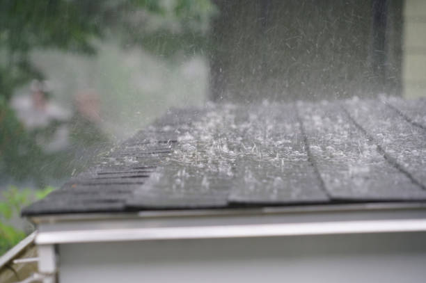 Best Asphalt Shingles Roofing  in Burney, CA